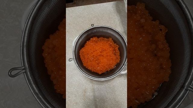 Как я солю икру горбуши смотреть онлайн
