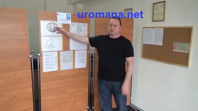 Роман. "Информационное развитие человека" смотреть онлайн