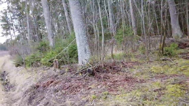 Поехали за дровами для казана в лес. смотреть онлайн