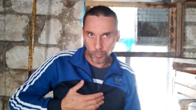 Отвечаю на комментарии. Когда ставить и когда убирать маточник. Сколько оставлять крольчат. смотреть онлайн