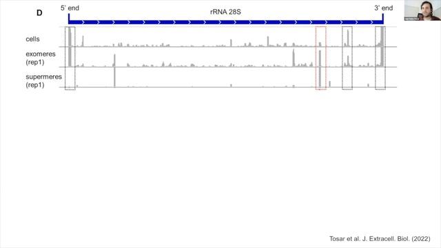 An informative and intriguing exchange on SUPERMERES: Coffey, Jeppesen, Zhang, and Tosar, et al... смотреть онлайн