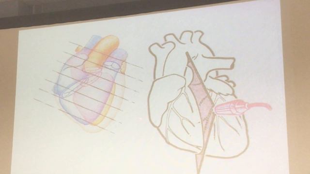 Методы исследования сердца. смотреть онлайн