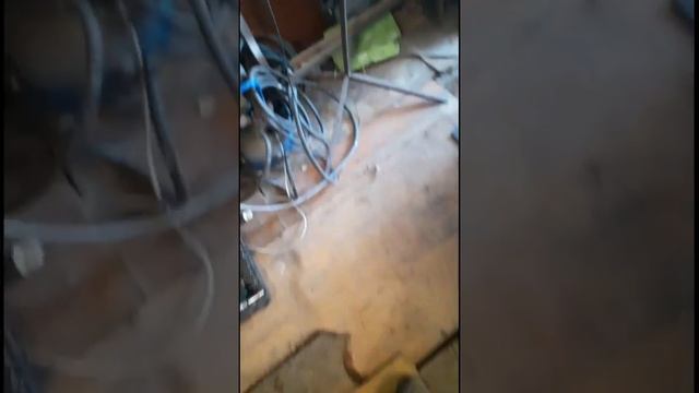 Kia Ремонт и обслуживание: Rio, Sportage, Ceed