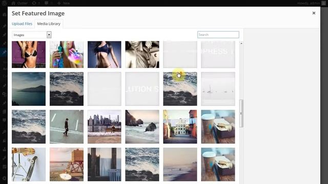 How to create Gallery Albums - Oyster Creative Photo WordPress Theme смотреть онлайн