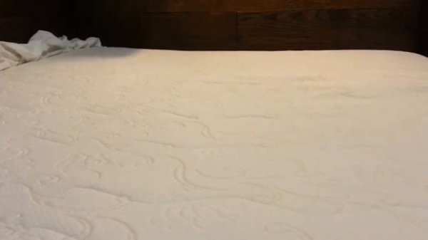 Отзыв MATRAMAX Глория + Тайлер