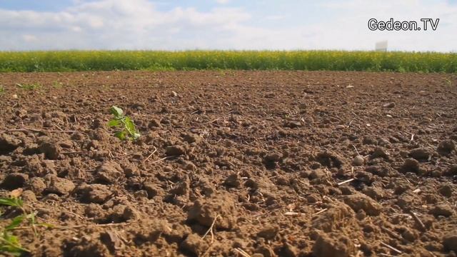 Слова Иисуса Христа. Что вы зовете Меня? смотреть онлайн