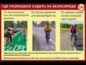 ОБЖ, 8 класс. Велосипедист - водитель транспортного средства