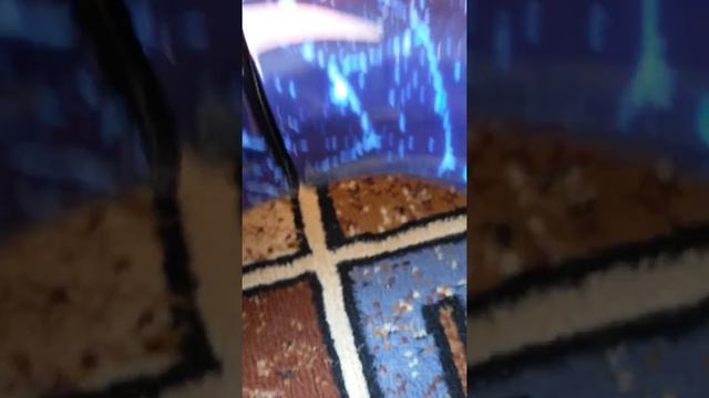 Ура моя мечта сбылась Мне купили гироскутер смотреть онлайн