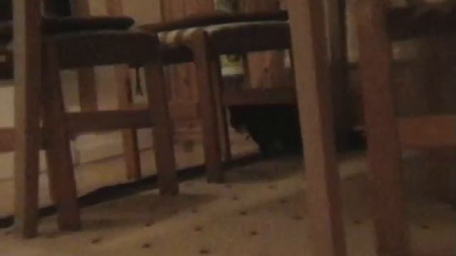 PVP or Noob или Хочешь жить - умей вертеться. смотреть онлайн