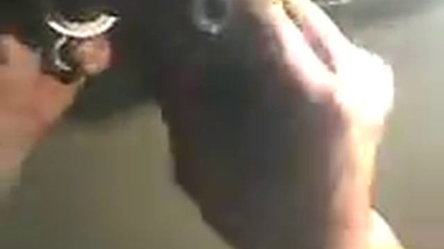 генератор водорода, обратный клапан, боблер