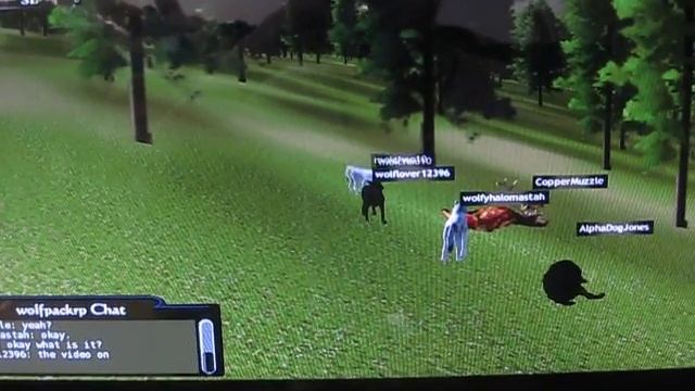 Wolf Quest Family Part1 смотреть онлайн