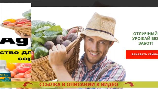 Системный гербицид сплошного действия смотреть онлайн