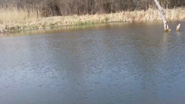 Колдовское Озеро. смотреть онлайн