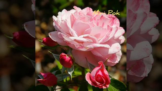 Вот это АЗАН смотреть онлайн