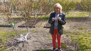 АПРЕЛЬ. Что делать в апреле на даче. Дача, сад, огород, работы на весеннем участке. Весенние работы