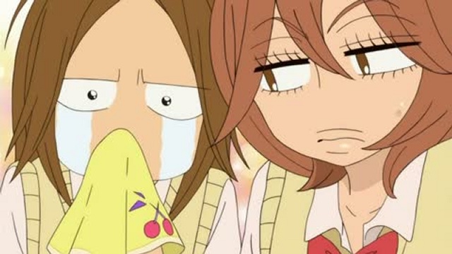 Kimi Ni Todoke 01-24 [OSLIKt]