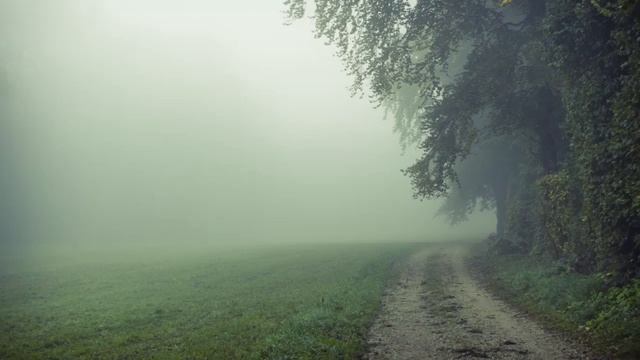 Самая большая и трудная победа над собой. Отец Сергий Булгаков. смотреть онлайн