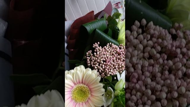 Рабочие будни/Работа флориста смотреть онлайн