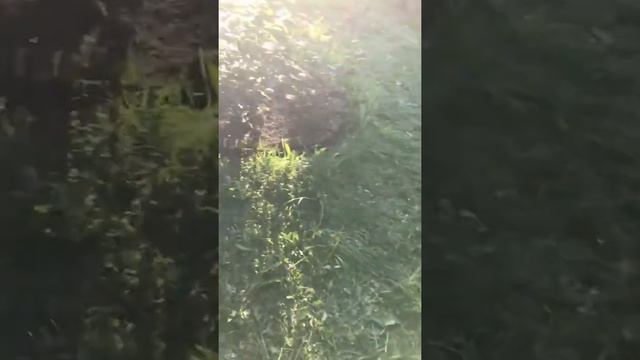 Септик из бетонных колец смотреть онлайн