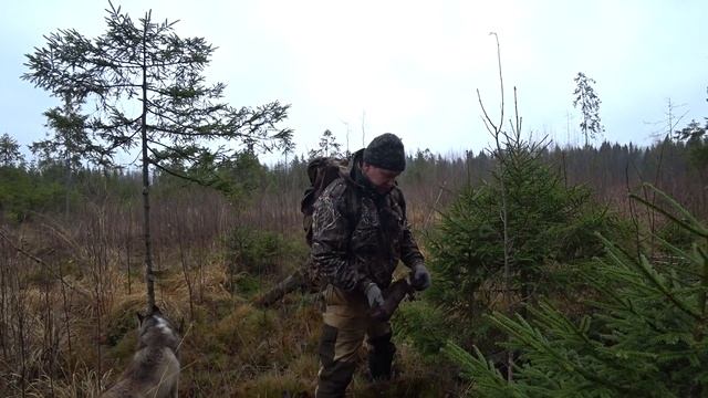 ПОХОД ПО ЗАРОСШЕЙ ЖЕЛЕЗНОЙ ТРОПЕ! РЕЗУЛЬТАТ ПРЕВЗОШЁЛ ВСЕ НАШИ ОЖИДАНИЯ! смотреть онлайн
