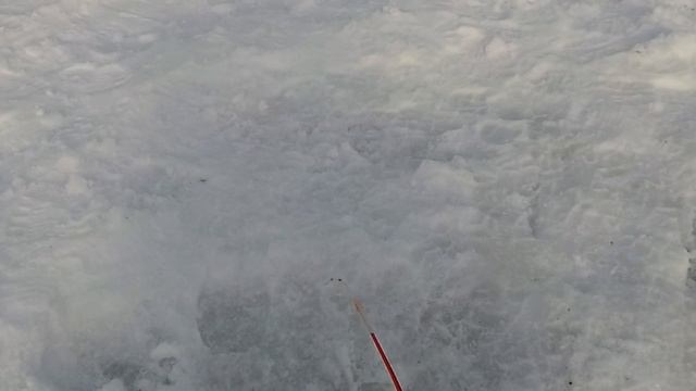 Очередная рыбалка на БЕЛОЯРСКОМ ВДХР. смотреть онлайн