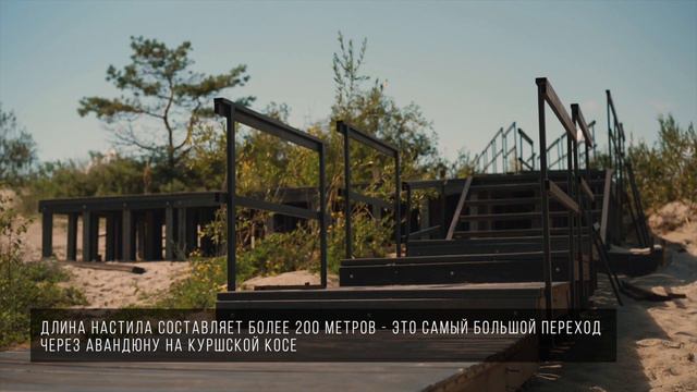 Строительство перехода через авандюну на Куршской косе смотреть онлайн