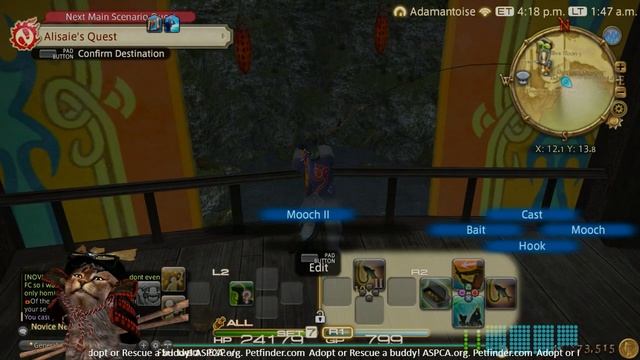 How to Catch Raincaller for FSH Job lvl 40 Job Quest Fishing in the Rain at Jadeite Flood смотреть онлайн