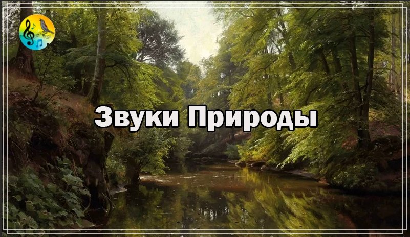 Relax ? Успокаивающие Звуки Лесной Реки. Успокаивающие Звуки Природы ? Расслабляющие Пение Птиц смотреть онлайн