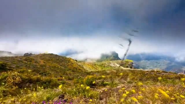 Каждому своё ( Автор - исполнитель: Владимир Струев )