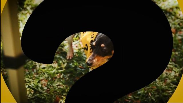 R U OK? 2022: Brian Hilton Motor Group смотреть онлайн