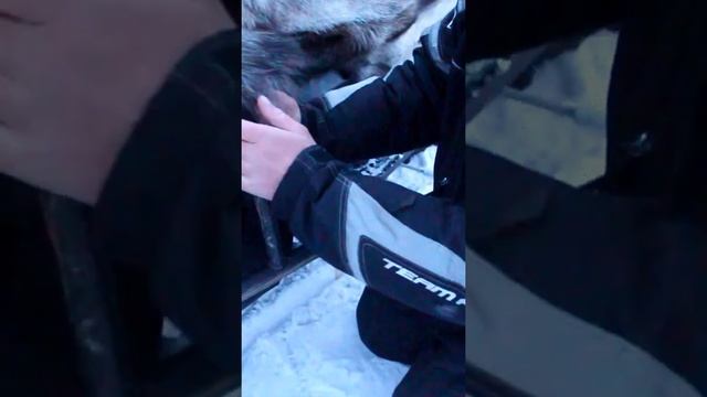 Скребки для снегохода из арматуры...стеклопластиковой #shorts смотреть онлайн