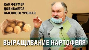 Почему я сажаю картофель в августе. Особенности выращивания картофеля в современных условиях.