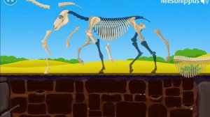 Dinosaur Park 2, Baby Fun Puzzle Game & Explore Ice Age Animals | Educational Video For Kids