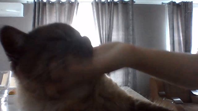 WIN 20231119 13 44 52 Pro смотреть онлайн