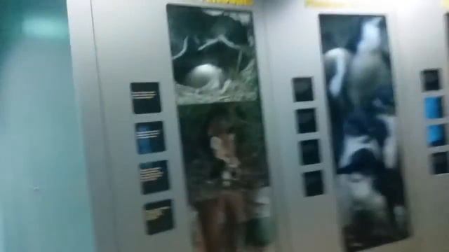 Welcome to Sydney Australia 2/3 смотреть онлайн