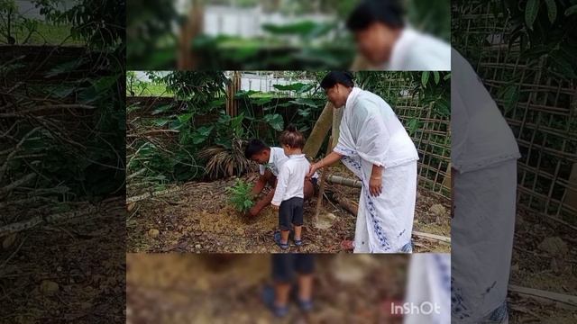 খলিহৈ তিয়াই থৈ ফুলত দিয়াৰ ফল 😍।mustard cake fertilizer and its amazing results on flowering plants. смотреть онлайн