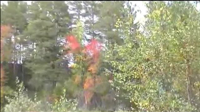 Осенняя акварель смотреть онлайн