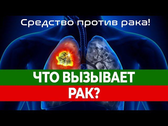 Почему мусульмане меньше болеют раком смотреть онлайн