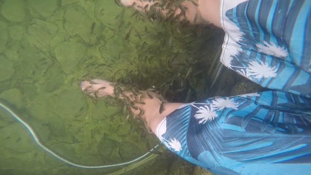 Иссык-Куль, Бостери, Григорьевское ущелье. Lake Issyk-Kul in Kyrgyzstan. смотреть онлайн