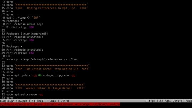 Debian Bullseye Installation with Debian Sid Kernel, Btrfs, timeshift AND BUDGIE! смотреть онлайн
