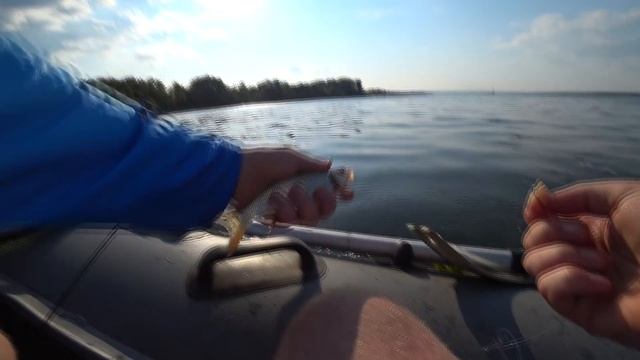 Ловля Леща на Пупках . Рыбалка 2021 смотреть онлайн