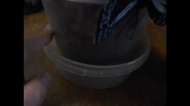 Орхидеи: рост корней и цветоноса смотреть онлайн