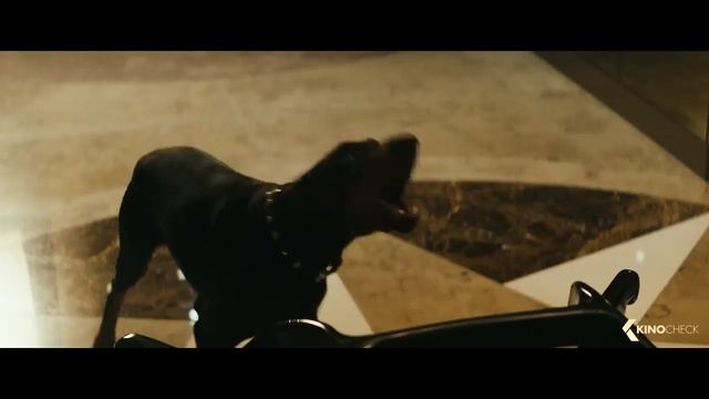 Асфальтовые джунгли 2018 смотреть онлайн