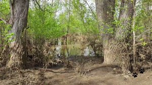 Красный Яр Кувандык