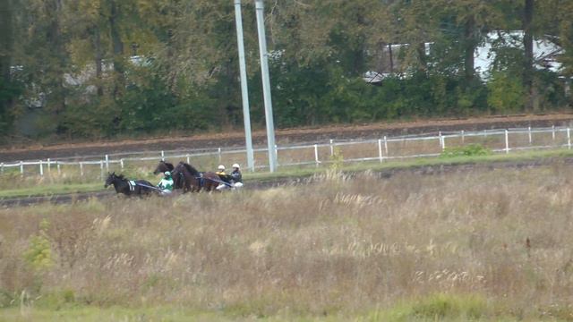 19.09.2020 г. 3-й заезд Приз в честь Работников Сельского Хозяйства смотреть онлайн