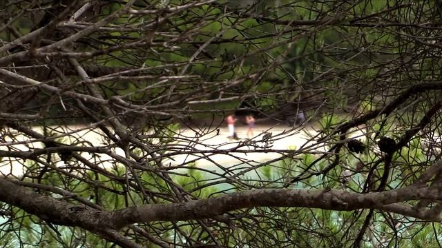 Испания: о. Менорка, Cala en Turqueta смотреть онлайн