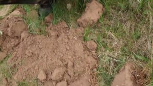 Варварское подражание ауреусу Гордиана. Дальняк на Меджибож. День 1.  #копUA