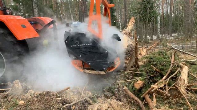 Удаление 80 см пней мульчером TMC Cancela TFK-200. Расчистка от ДКР. Диаметр измельчения 35 см. смотреть онлайн