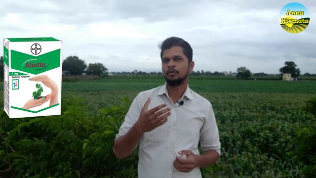 Bayer Aliette Fungicide/Fosetyl AL/True Systemic Fungicide