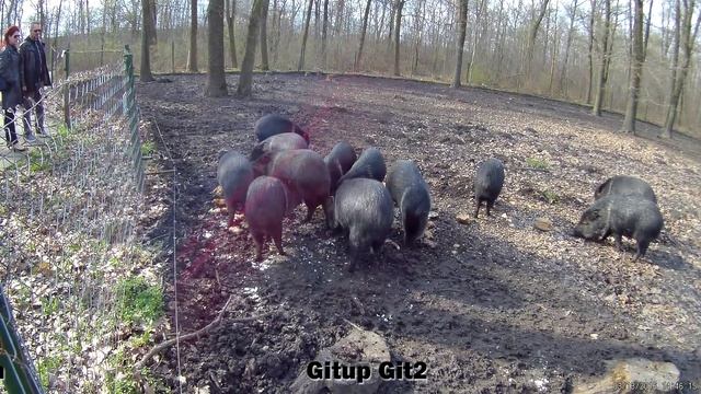 GitUp Git2 Vs. GoPro Hero4 Session Comparison Video смотреть онлайн